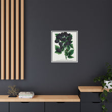 Wachusett Blackberry Lithograph | Vintage Botanical Wall Art
