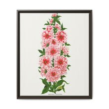 Prunus Triloba flower lithograph. Digitally enhanced from our own original 1900 edition plates of Botanical Specimen published by Rochester Lithographing - NOMADEN ART GALLERY