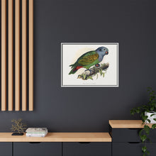 Red-Vented Parrot (Amazona martinicana) colored wood-engraved plate by Alexander Francis Lydon