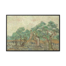 Vincent van Gogh's The Olive Orchard (1889) - NOMADEN ART GALLERY