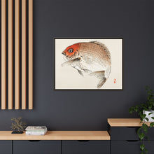 Tai (Red Seabream) fish by Kōno Bairei