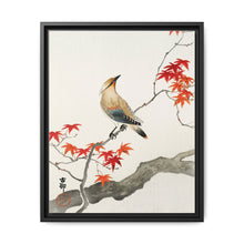 Japanese plague bird on maple (1900 - 1936) by Ohara Koson