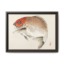 Tai (Red Seabream) fish by Kōno Bairei - NOMADEN ART GALLERY