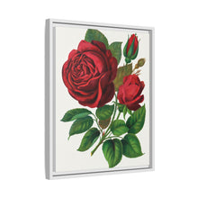 Red Rose, Prince Camille De Rohan Lithograph