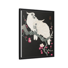 Two cockatoo and plum blossom (1925 - 1936) by Ohara Koson