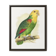 Double-Fronted or Le Vaillant's Amazon (Amazona oratrix) colored wood-engraved plate by Alexander Francis Lydon. - NOMADEN ART GALLERY