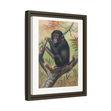 The Chimpanzee from Zoological sketches (1861-1867) by Joseph Wolf and Philip Lutley Sclater.