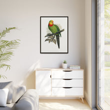 Barraband's Parakeet (Polytelis swainsonii) colored wood-engraved plate by Alexander Francis Lydon