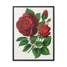 Red Rose, Prince Camille De Rohan Lithograph - NOMADEN ART GALLERY