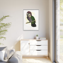 Hawk-Headed Parrot (Deroptyus accipitrinus) colored wood-engraved plate by Alexander Francis Lydon.