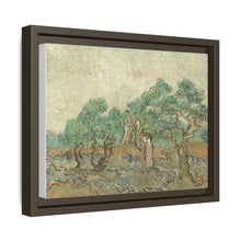Vincent van Gogh's The Olive Orchard (1889) - NOMADEN ART GALLERY
