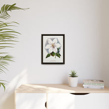 Clematis flower lithograph. Digitally enhanced from our own original 1900 edition plates of Botanical Specimen published by Rochester Lithographing