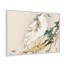Northern mockingbird by Kōno Bairei (1844-1895)