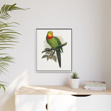 Barraband's Parakeet (Polytelis swainsonii) colored wood-engraved plate by Alexander Francis Lydon