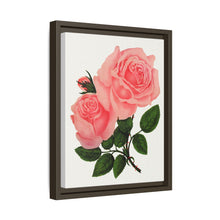 Pink Rose, La France Lithograph (1900)