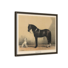 Orloffer (Orloff Horse) by Emil Volkers (1880) - An illustration of a black horse and a white dog - NOMADEN ART GALLERY