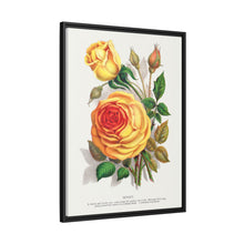 lithograph from Botanical Specimen published by Rochester Lithographing