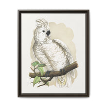 Great White-Crested Cockatoo (Cacatua alba) colored wood-engraved plate by Alexander Francis Lydon - NOMADEN ART GALLERY