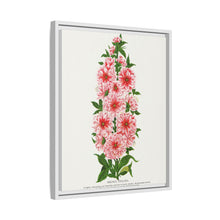 Prunus Triloba flower lithograph. Digitally enhanced from our own original 1900 edition plates of Botanical Specimen published by Rochester Lithographing
