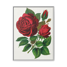 Red Rose, Prince Camille De Rohan Lithograph - NOMADEN ART GALLERY