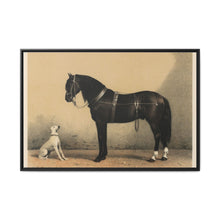 Orloffer (Orloff Horse) by Emil Volkers (1880) - An illustration of a black horse and a white dog - NOMADEN ART GALLERY