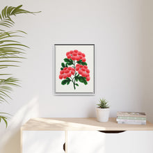Paul's New Double Flowering Thorn lithograph. Digitally enhanced from our own original 1900 edition plates of Botanical Specimen published by Rochester Lithographing