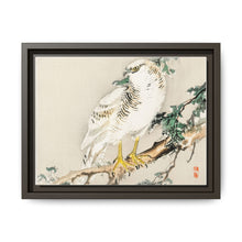 Northern mockingbird by Kōno Bairei (1844-1895) - NOMADEN ART GALLERY