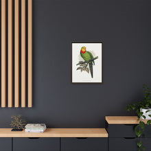 Barraband's Parakeet (Polytelis swainsonii) colored wood-engraved plate by Alexander Francis Lydon
