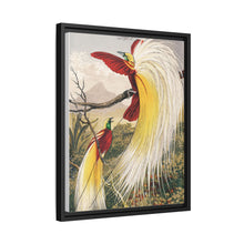 Birds of Paradise: Vintage Natural History Art by Benjamin Fawcett (1808 - 1893)