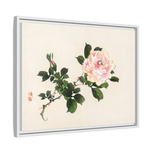 Pink rose by Kōno Bairei (1844-1895)
