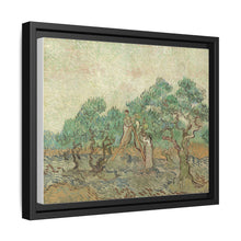 Vincent van Gogh's The Olive Orchard (1889) - NOMADEN ART GALLERY