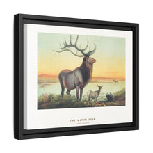The Wapiti from Zoological sketches (1861-1867) by Joseph Wolf and Philip Lutley Sclater