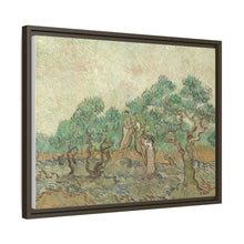 Vincent van Gogh's The Olive Orchard (1889) - NOMADEN ART GALLERY