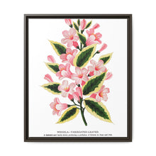 Pink flowers, Weigela lithograph (1900) - NOMADEN ART GALLERY