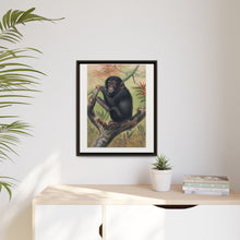 The Chimpanzee from Zoological sketches (1861-1867) by Joseph Wolf and Philip Lutley Sclater.