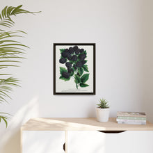 Wachusett Blackberry Lithograph | Vintage Botanical Wall Art