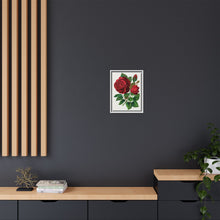 Red Rose, Prince Camille De Rohan Lithograph