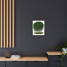 Kilmarnock Weeping Willow tree lithograph. Digitally enhanced from our own original 1900 edition plates of Botanical Specimen published by Rochester Lithographing
