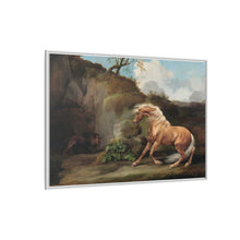 Horse Frightened by a Lion (1762–1768) by George Stubbs