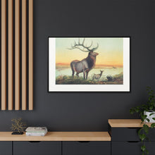 The Wapiti from Zoological sketches (1861-1867) by Joseph Wolf and Philip Lutley Sclater