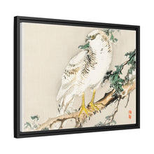 Northern mockingbird by Kōno Bairei (1844-1895)