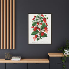 Prunus Triloba flower lithograph. Digitally enhanced from our own original 1900 edition plates of Botanical Specimen published by Rochester Lithographing