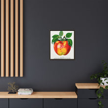 Wolf River Apple Lithograph | Vintage Botanical Wall Art Print