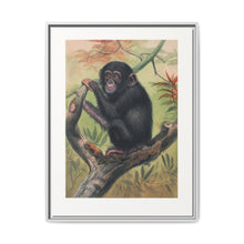 The Chimpanzee from Zoological sketches (1861-1867) by Joseph Wolf and Philip Lutley Sclater. - NOMADEN ART GALLERY