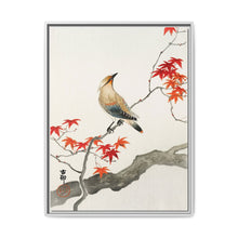 Japanese plague bird on maple (1900 - 1936) by Ohara Koson