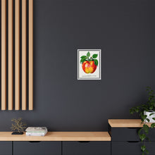 Wolf River Apple Lithograph | Vintage Botanical Wall Art Print