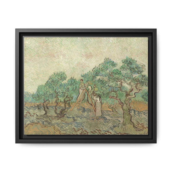 Vincent van Gogh's The Olive Orchard (1889) - Historical Art Canvas Print - NOMADEN ART GALLERY