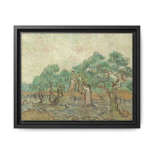 Vincent van Gogh's The Olive Orchard (1889) - Historical Art Canvas Print - NOMADEN ART GALLERY