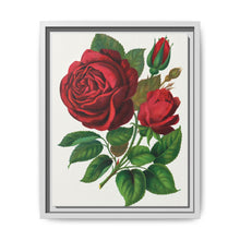 Red Rose, Prince Camille De Rohan Lithograph - NOMADEN ART GALLERY