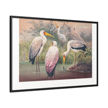 The African Wood Ibis from Zoological sketches (1861-1867) by Joseph Wolf and Philip Lutley Sclater